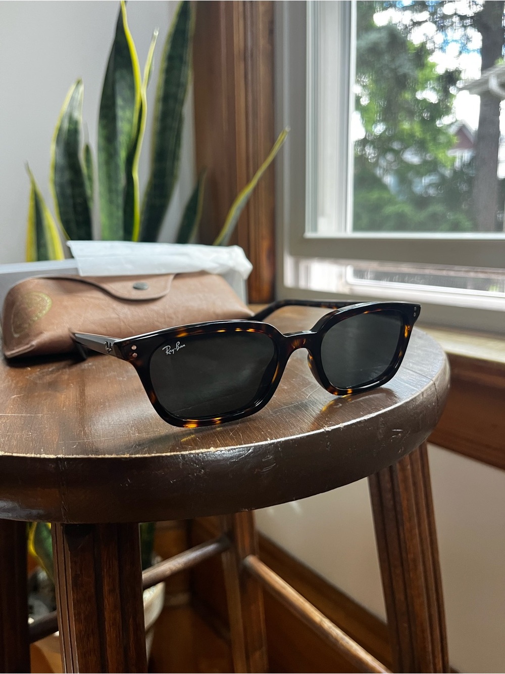 Ray-Ban Zaya Bio-Based Polished Havana